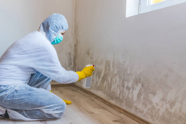 Licensed Mold Remediation service in Garner, NC - 24 Hour Mold Removal