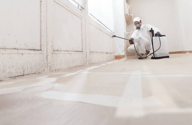 24/7 Emergency Mold Remediation experts in Garner, NC