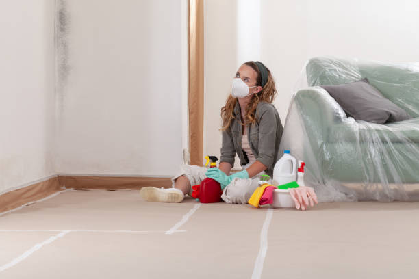 Reliable Mold Remediation contractor in Garner, NC by 24 Hour Mold Removal