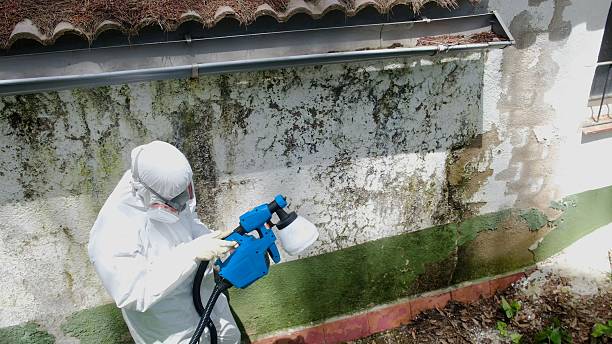 Top rated local Mold Remediation specialists in Garner, NC
